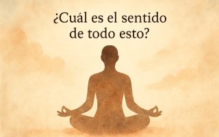 ¿Cuál es el sentido de todo esto?